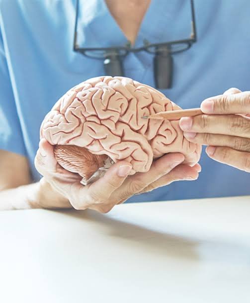 Third Party Neurology Products Supplier in India
